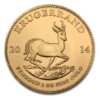 Krugerrand Oro 1 oncia (31,1)